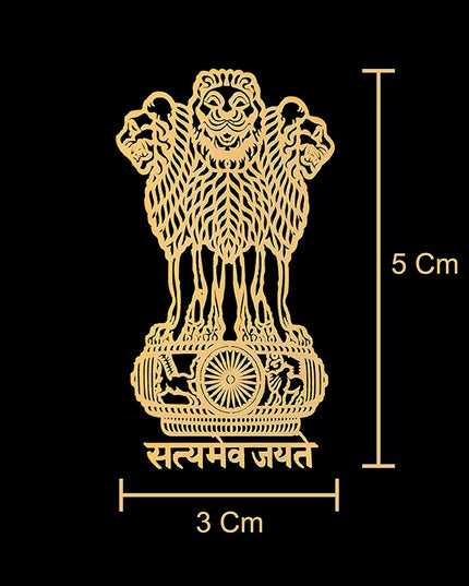 Satyamev Jayate Gold Metal 3D Sticker with matte leather skin for iPhone Pro series